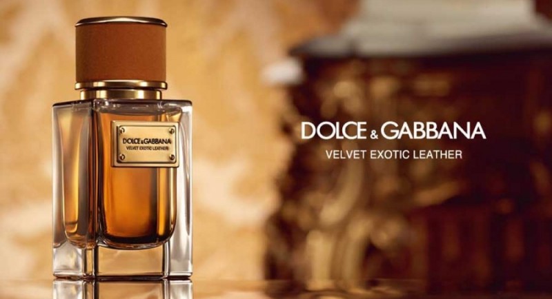 Velvet Exotic Leather by Dolce & Gabbana Review 1